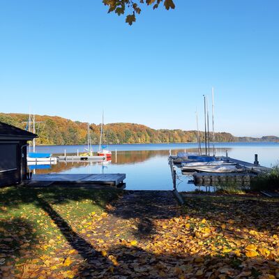 Bild vergrößern: Herbststimmung am Groen Segeberger See