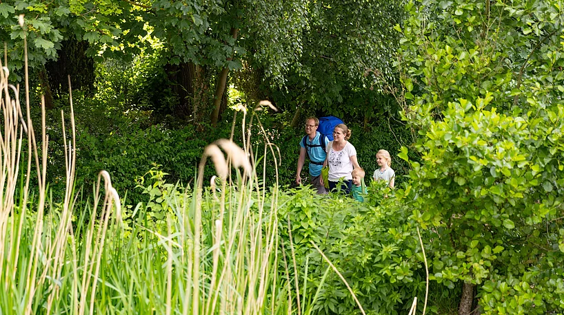 Wander am Großen Segeberger See Drei Personen wandern auf einem schmalen Pfad durch dichtes grünes Gebüsch und Bäume