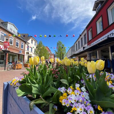 Im Vordergrund ist ein Hochbeet mit bunten Tulpen zu sehen. Rechts und links befinden sich Häuserfassaden und vor dem blauen Himmel ist eine Leine mit bunten Gießkannen gespannt.